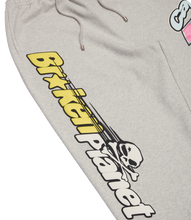 Load image into Gallery viewer, The Planet Is Yours Sweatpants
